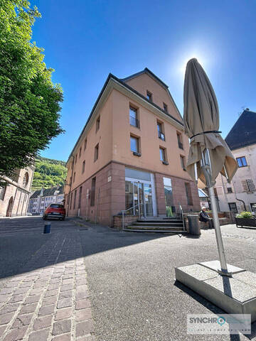 Vente Immeuble Guebwiller (68500)