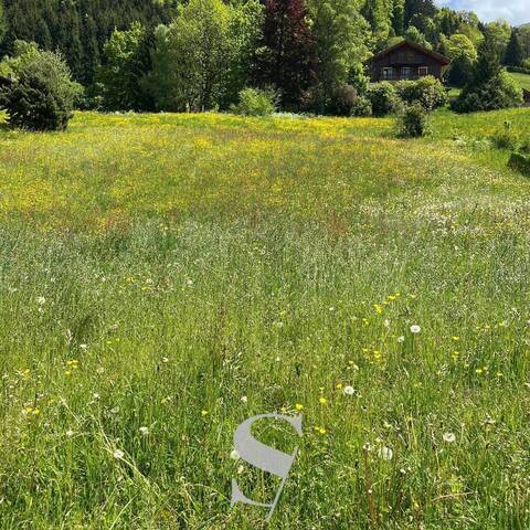 Sale Land La Clusaz (74220)