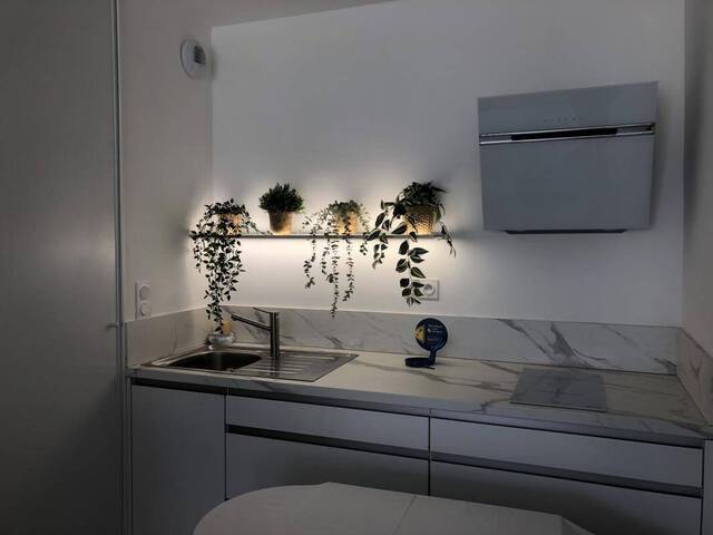 Location Appartement t2 45 m² Dinard 35800
