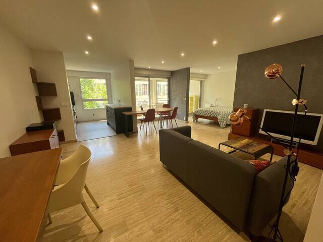 Location Appartement t1 48.77 m² Annecy 74000 ANNECY Coeur de Ville