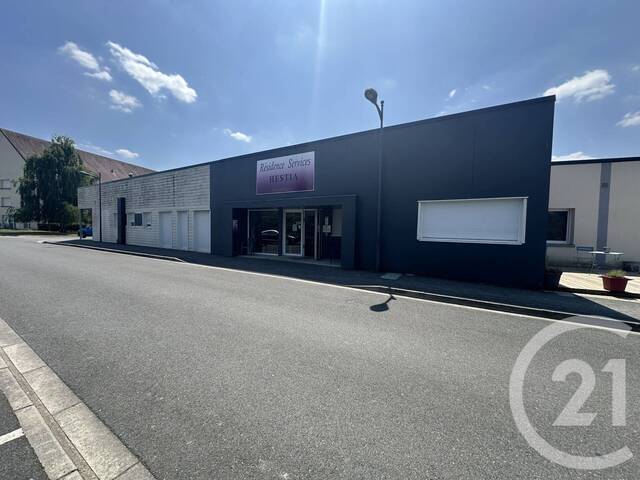 Vente Appartement t1 858 m² Villedieu-sur-Indre 36320