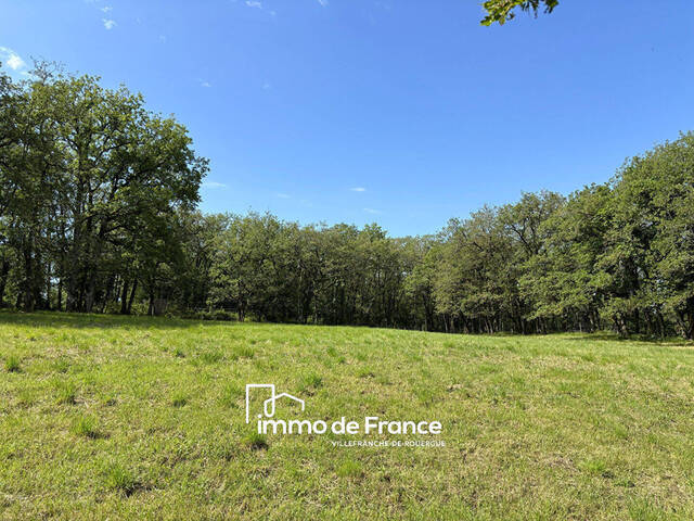 Vente terrain à Parisot (82160)
