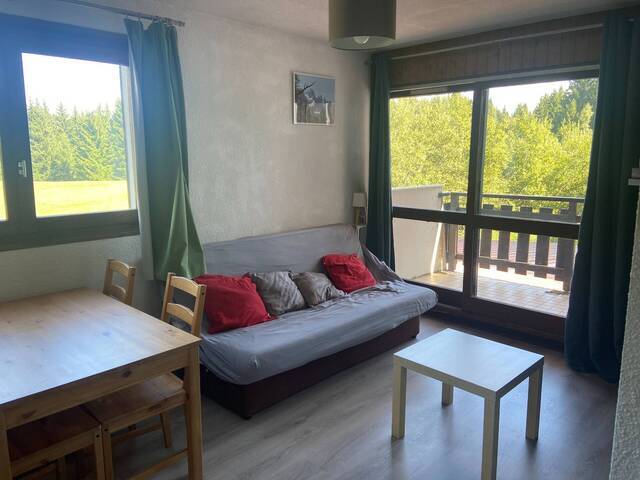 Vente Appartement studio 1 pièce Praz De Lys 74440