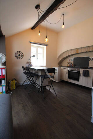 Location Appartement 1 pièce 17.3 m² Dijon 21000 RUE PIETONNES