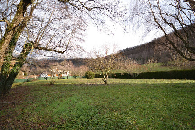 Vente Terrain Duingt 74410