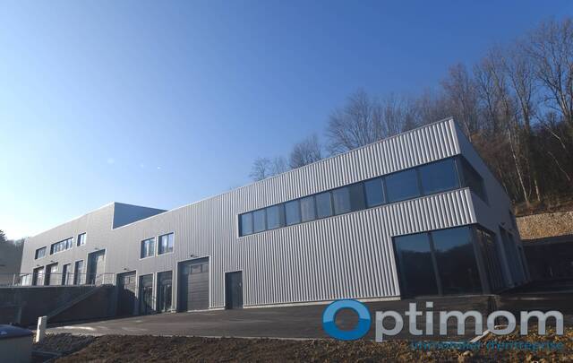 Vente Local d'activité Mésigny 74330