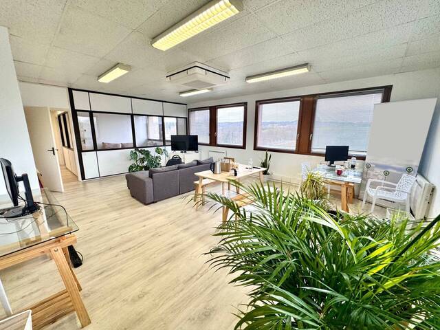 Location d'entreprise Professional premises bureaux Cran-Gevrier 74960