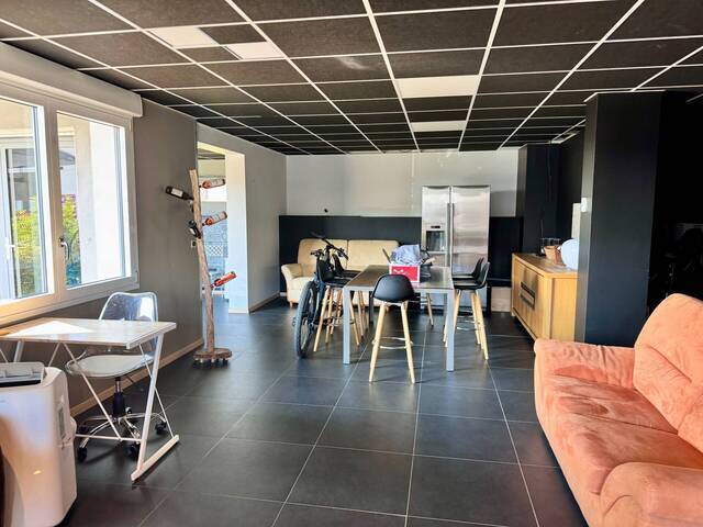 Location d'entreprise Professional premises local d'activité Annecy 74000