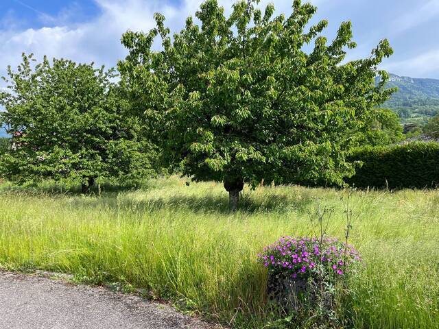 Vente Terrain Saint-Jorioz 74410