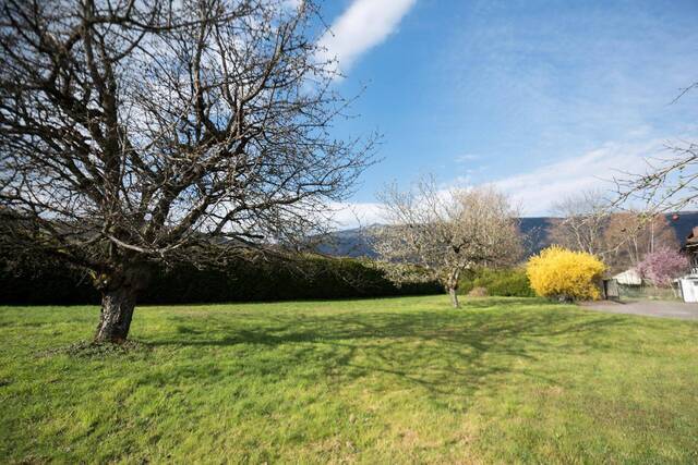 Vente Terrain Saint-Jorioz 74410
