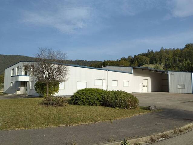 Buy Professional premises usine Dortan 01590