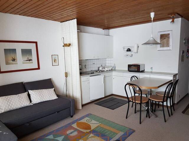 Location vacances Appartement 4 personnes 32 m² Thyon 1988