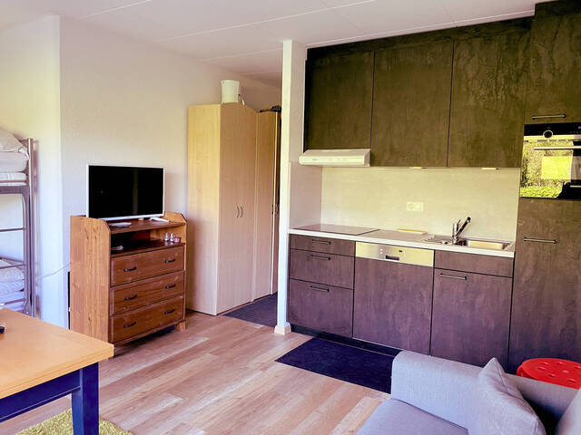 Location vacances Appartement 4 personnes 29 m² Thyon 1988