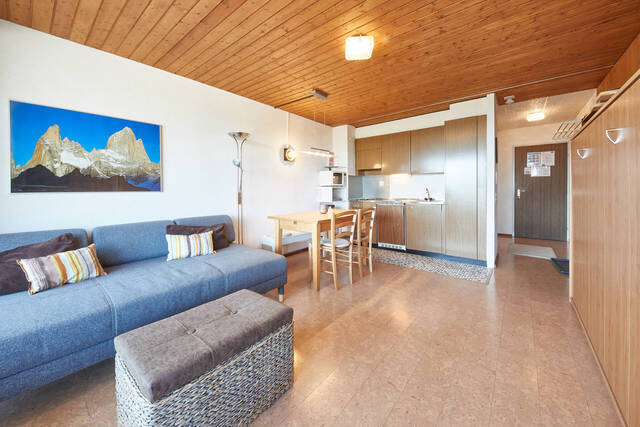 Holiday rentals Apartment 3 sleeps 31 m² Thyon 1988