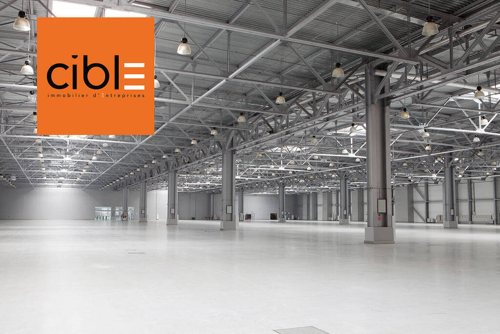 Vente Local entrepôt 10565 m² Rumilly (74150)