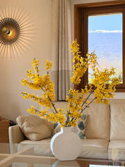 Vente Maison 7 pièces 240 m² Thoiry 01710