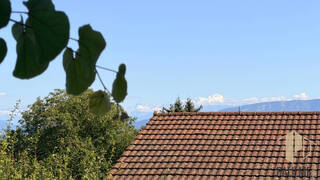 Vente Maison villa 5 pièces 232.5 m² Sergy 01630