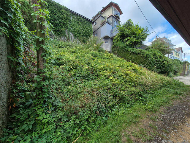 Vente Terrain Meillerie 74500