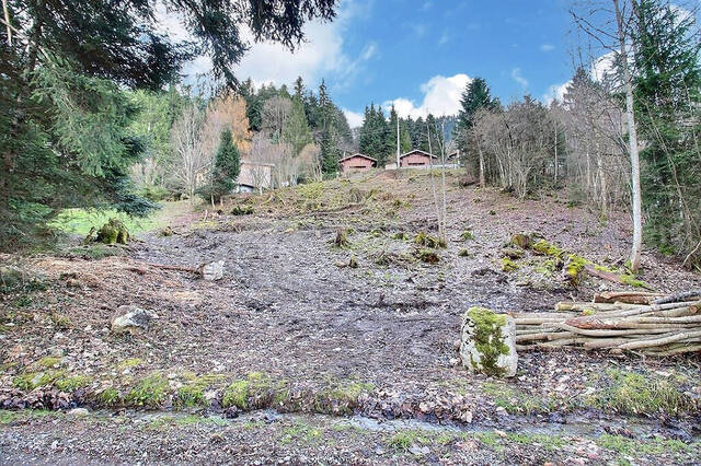 Vente Terrain Thollon-les-Mémises 74500