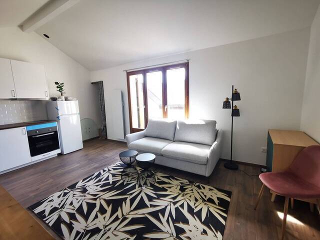 Location Appartement duplex 1 pièce 27 m² Ornex 01210