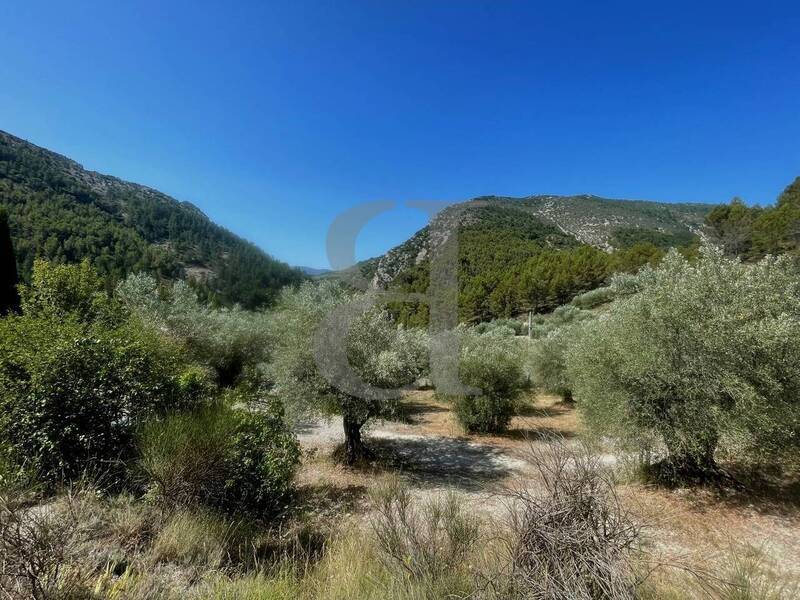 Vente maison 2 pièces 73 m² à Buis-les-Baronnies 26170