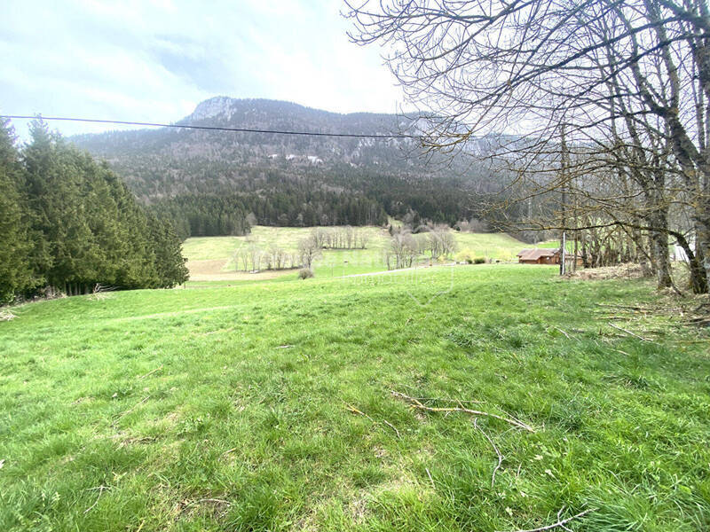 Vente terrain à Saint-Julien-en-Vercors 26420