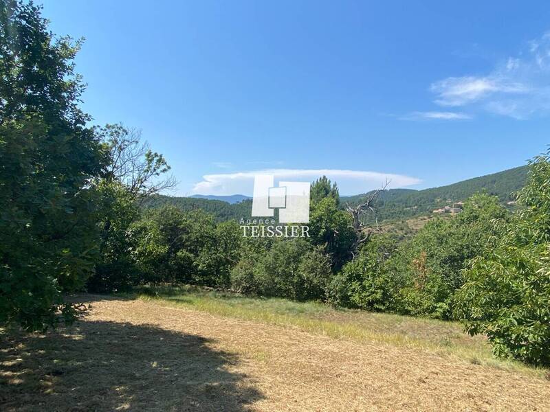 Vente maison 7 pièces 104 m² à Ribes 07260