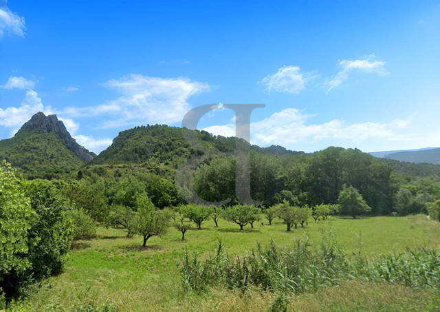 Vente Terrain Buis-les-Baronnies 26170