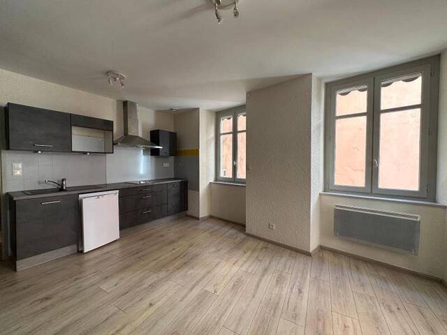 Location Appartement 2 pièces 45 m² Annonay 07100