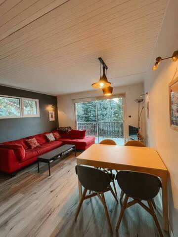 Holiday rent JANDRI t3 6 sleeps Les 2 Alpes 38860
