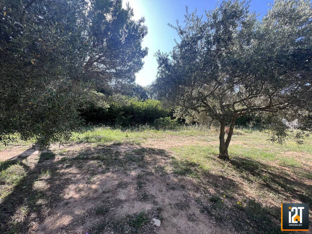 Vente Terrain Saint-Siffret 30700 640 m²