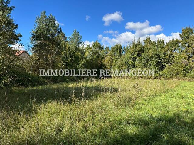 Vente Terrain constructible Orçay 41300