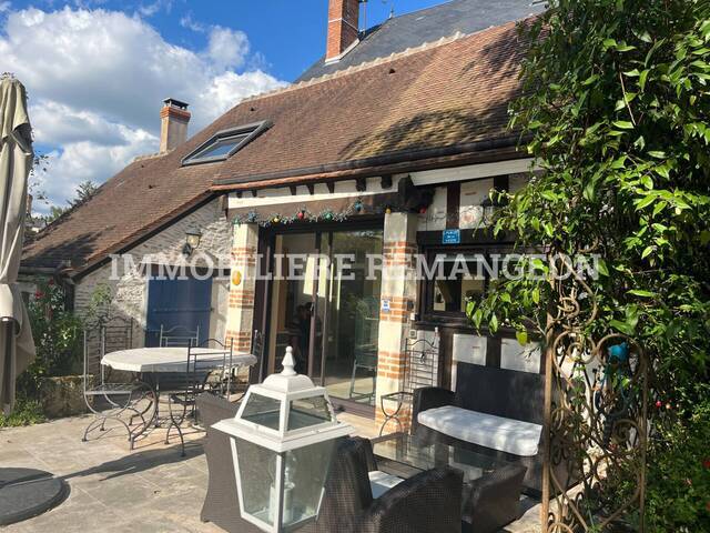 Vente Demeure de prestige 8 pièces Yvoy-le-Marron 41600
