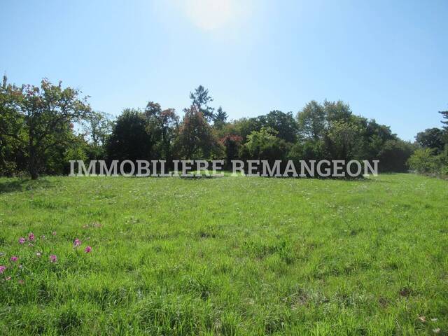 Vente Terrain constructible Vouzon 41600