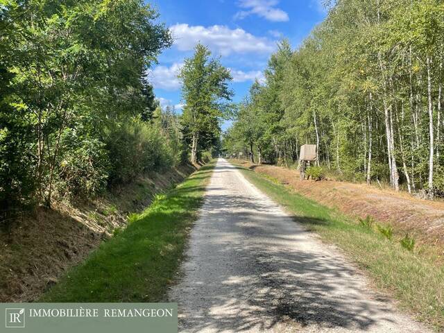 Vente Propriété 8 pièces Neuvy-sur-Barangeon 18330