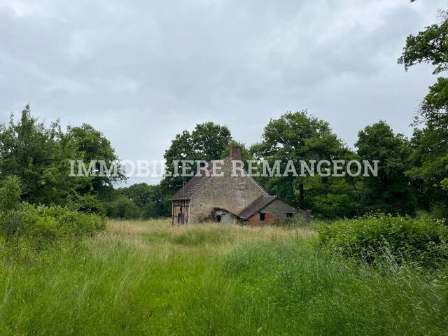 Vente Ancien corps de ferme 2 pièces Saint-Viâtre 41210