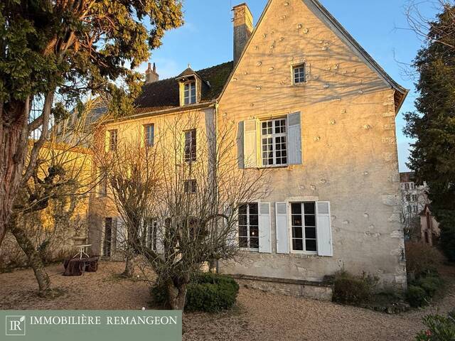 Vente Maison de maître 12 pièces Mehun-sur-Yèvre 18500