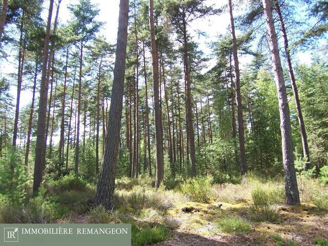 Vente Propriété Romorantin lanthenay 41200