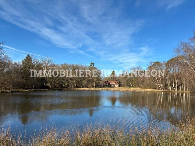 Vente Demeure de prestige 13 pièces Lamotte-Beuvron 41600