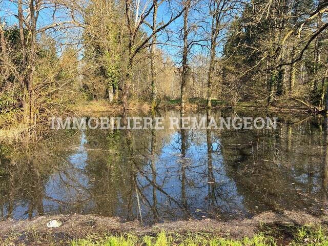 Vente Demeure de prestige 20 pièces Lamotte-Beuvron 41600