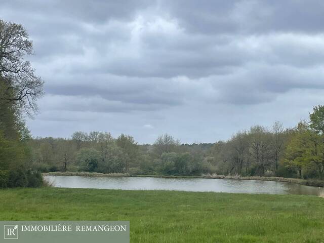Vente Propriété 8 pièces Chaumont-sur-Tharonne 41600