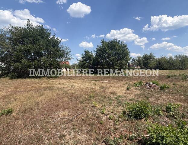 Vente Terrain constructible Souesmes 41300