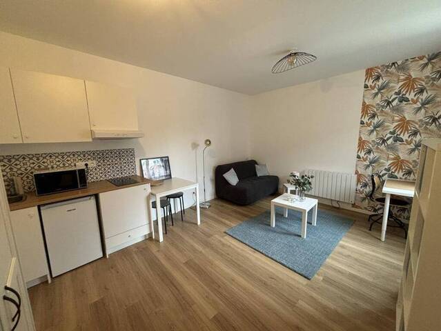 Location Appartement studio 1 pièce 21 m² Saint-Étienne 42000 BERGSON