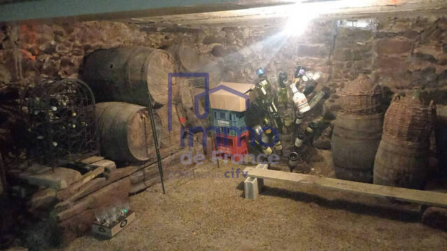 Sale Ancient house 9 rooms 290 m² Crachier 38300