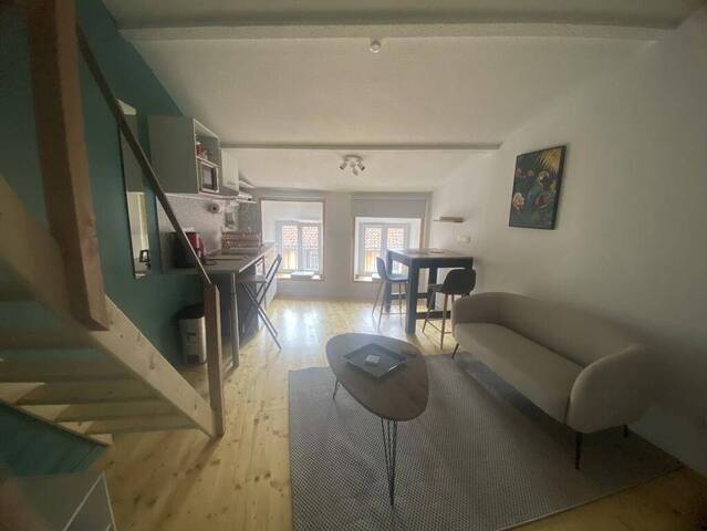 Location Appartement t1 17 m² Le Puy-en-Velay 43000