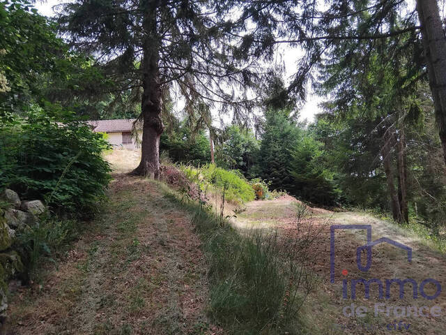 Sale Ancient house 3 rooms 50 m² Saint-Bonnet-le-Courreau 42940