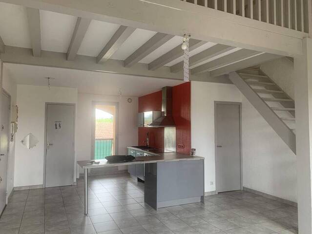 Rent Apartment t1 bis 51 m² Saint-Symphorien-sur-Coise 69590