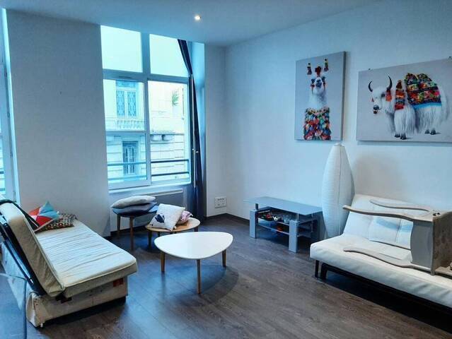 Location Appartement t3 91 m² Saint-Étienne 42000 CENTRE-VILLE