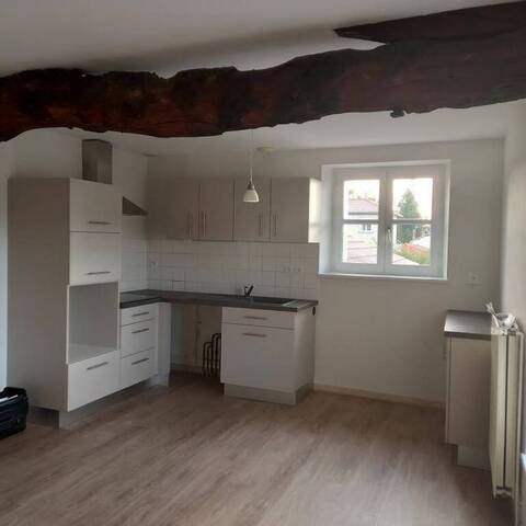 Location Appartement t3 52 m² Saint-Symphorien-sur-Coise 69590