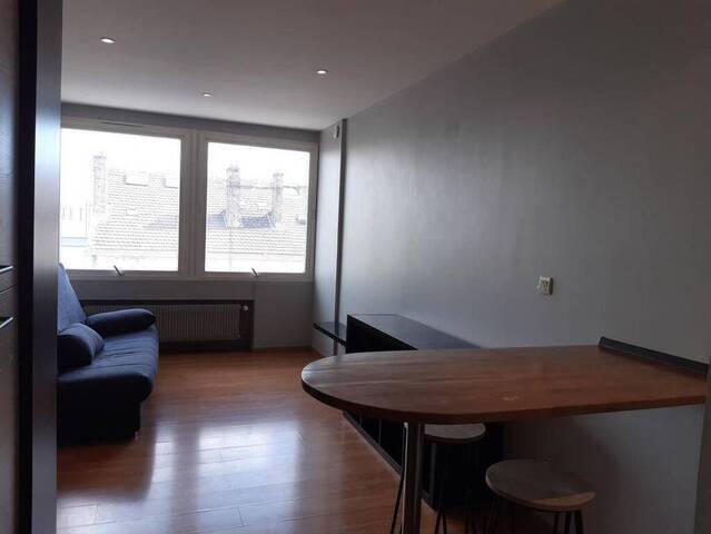 Location Appartement studio 1 pièce 20 m² Villeurbanne 69100